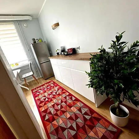 Cozy In Downtown טרטו